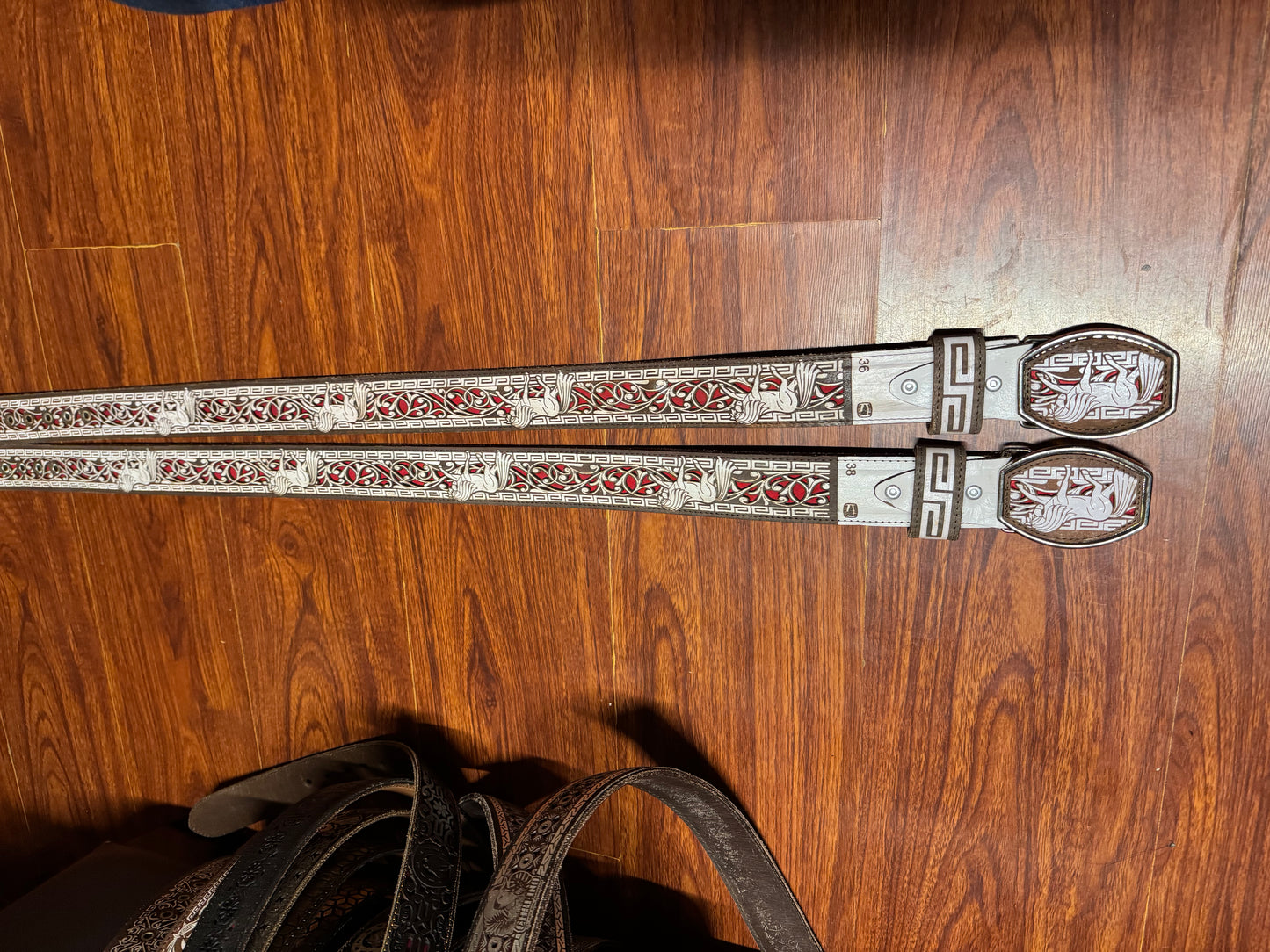 Cinturón corte láser caballo