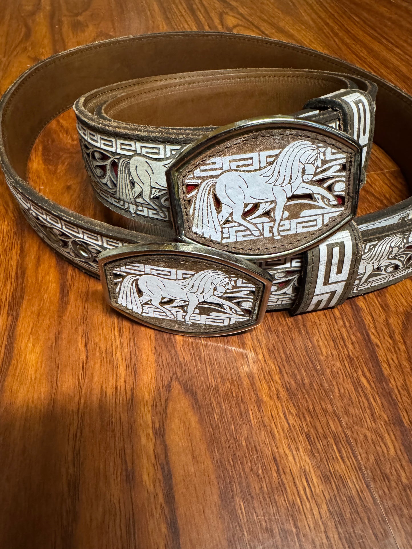 Cinturón corte láser caballo